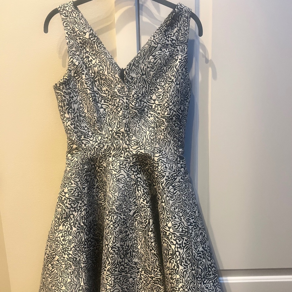 Opening Ceremony Skater Dress